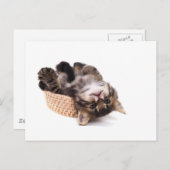 katje briefkaart (Voorkant / Achterkant)