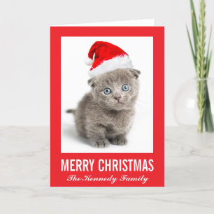 Katje die een pet van de Kerstman dragen Feestdagen Kaart