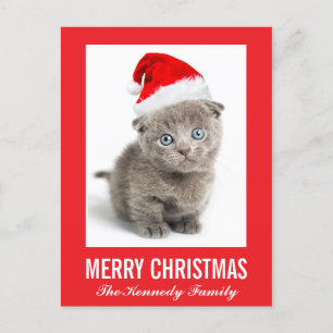 Katje die een pet van de Kerstman dragen Feestdagenkaart