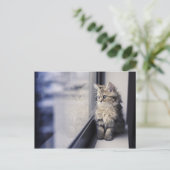 Katje die uit Venster kijken Briefkaart (Staand voorkant)