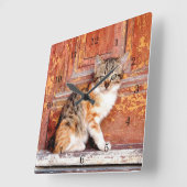 Katje door Klok van de Muur van de Schuur de (Hoek)