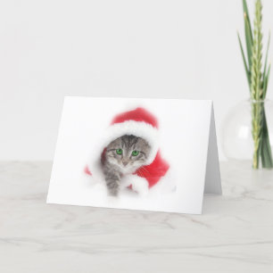 Katje in het pet van de Kerstman Feestdagen Kaart