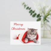 Katje in het Pet van de Kerstman Feestdagenkaart (Staand voorkant)