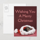 Katje in slaap in het pet van Kerstmis Feestdagenkaart (Voorkant / Achterkant)