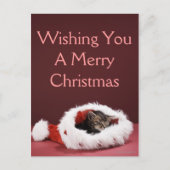 Katje in slaap in het pet van Kerstmis Feestdagenkaart (Voorkant)