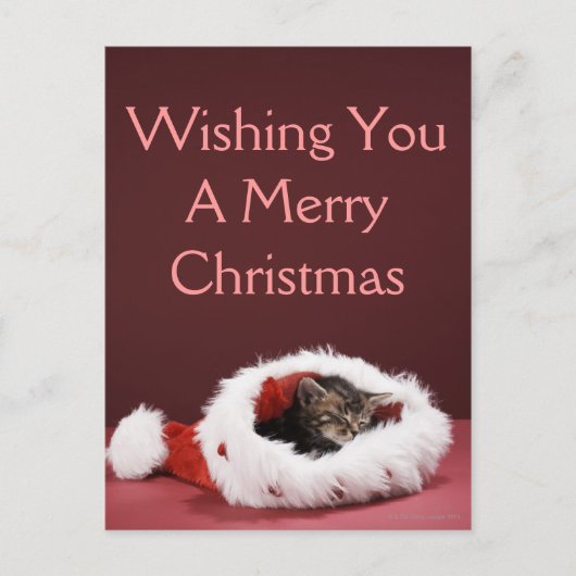 Katje in slaap in het pet van Kerstmis Feestdagenkaart (Voorkant)