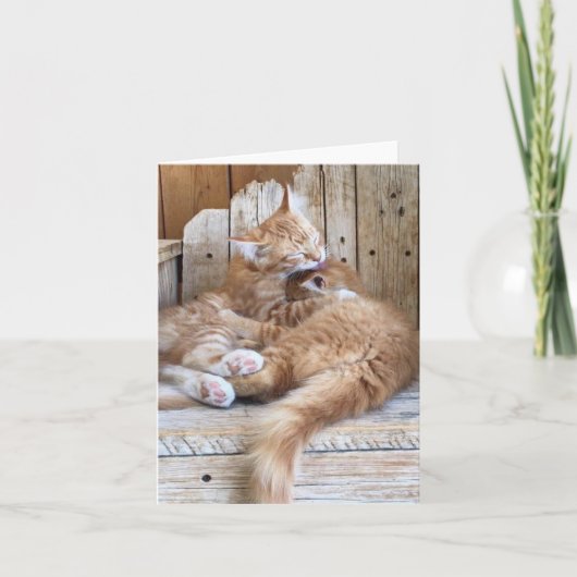 Katje Liefde Groet Kaart (Voorkant)