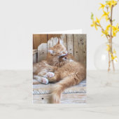 Katje Liefde Groet Kaart (Gele Bloem)