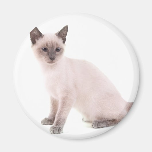 katje magneet (Voorkant)