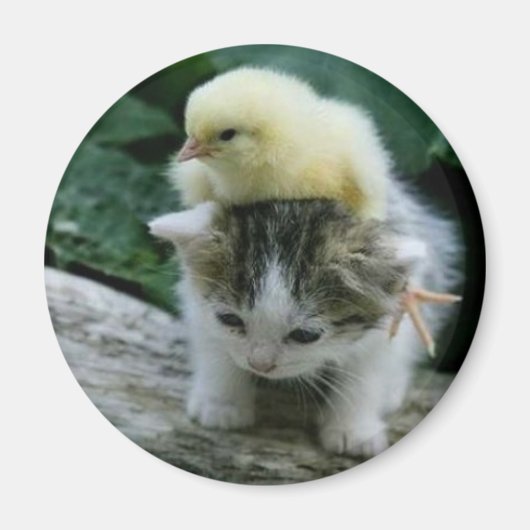 katje magneet (Voorkant)