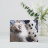 katje met puppy speelgoed briefkaart (Staand voorkant)