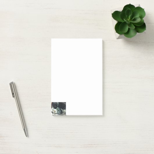 Katje Notities  Post-it® Notes (Kantoor)