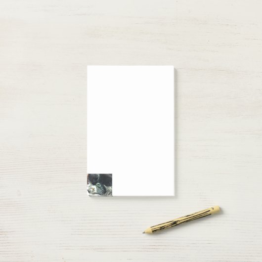 Katje Notities Post-it® Notes (Op bureau)