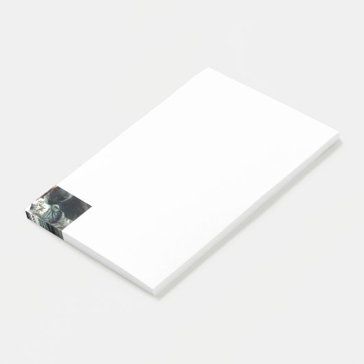 Katje Notities  Post-it® Notes (Schuin)