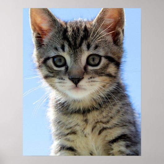 katje poster (Voorkant)