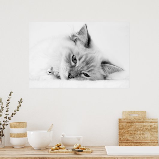 katje poster (Keuken)