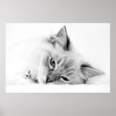 katje poster (Voorkant)