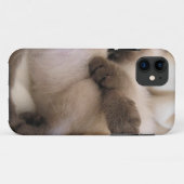 Katje van de Kat van het Huisdier van tweelingen Case-Mate iPhone Case (Achterkant (horizontaal))