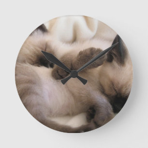 Katje van de Kat van het Huisdier van tweelingen Ronde Klok