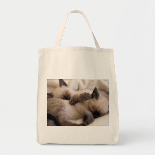Katje van de Kat van het Huisdier van tweelingen Tote Bag (Voorkant)