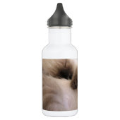 Katje van de Kat van het Huisdier van tweelingen Waterfles (Links)