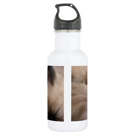 Katje van de Kat van het Huisdier van tweelingen Waterfles (Achterkant)