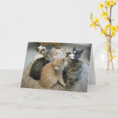 Katjes 048 kaart (Gele Bloem)