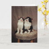 katjes, gelovige vriendenkaart kaart (Gele Bloem)