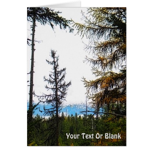 Katka Mountain (Voorkant)