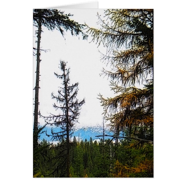 Katka Mountain (Voorkant)