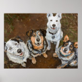 Katledogs Rundvee Honden en Heelers Brown Hued Poster (Voorkant)