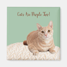 Katmagneet Katten Zijn Ook Mensen