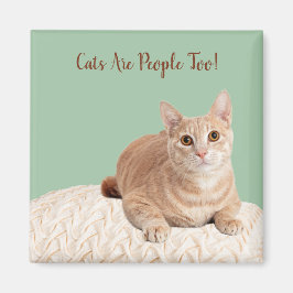 Katmagneet Katten Zijn Ook Mensen Magneet