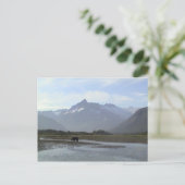 Katmai Brown Beer Briefkaart (Staand voorkant)