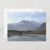 Katmai Brown Beer Briefkaart (Voorkant / Achterkant)