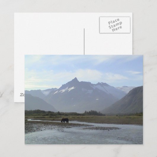 Katmai Brown Beer Briefkaart (Voorkant / Achterkant)