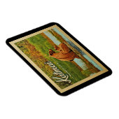 Katmai Nationaal Park Beren Vintage Magneet (Rechterzijde)