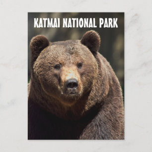 KATMAI NATIONAL PARK GRIZZLY BEER BRIEFKAARTEN