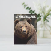 KATMAI NATIONAL PARK GRIZZLY BEER BRIEFKAARTEN (Staand voorkant)
