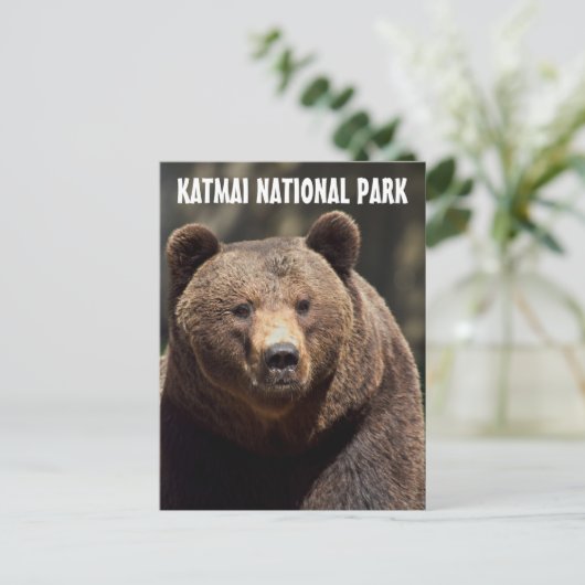 KATMAI NATIONAL PARK GRIZZLY BEER BRIEFKAARTEN (Staand voorkant)