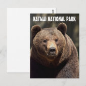 KATMAI NATIONAL PARK GRIZZLY BEER BRIEFKAARTEN (Voorkant / Achterkant)