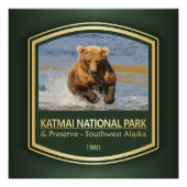 Katmai NP (PF1) Perfect Poster (Voorkant)
