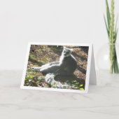 Katmaki Kaart (Voorkant)