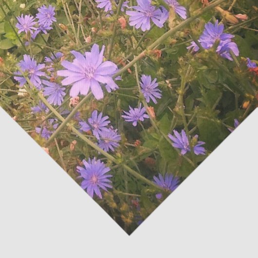 Katoen bloem tissuepapier (Detail)