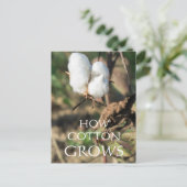 Katoen Briefkaart (Staand voorkant)