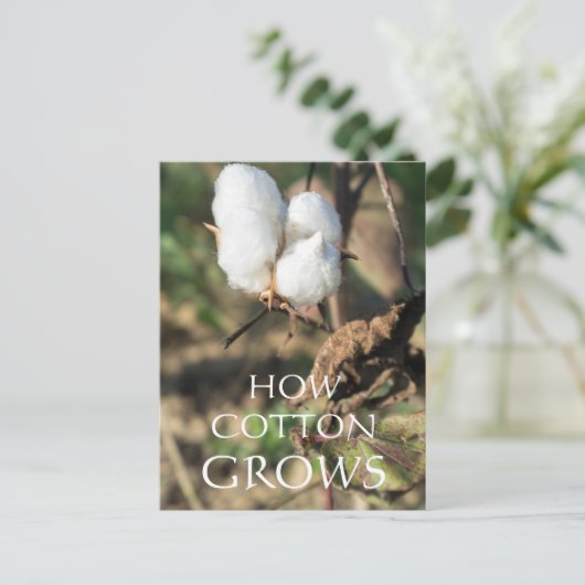 Katoen Briefkaart (Staand voorkant)