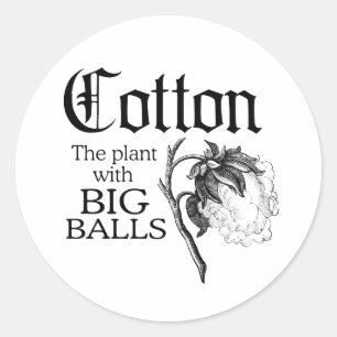 KATOEN DE PLANT MET GROETE BOLLEN RONDE STICKER
