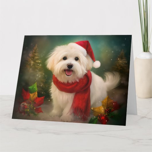 Katoen De Tulear Hond in Sneeuw Kerstmis Kaart (Voorkant)