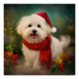 Katoen De Tulear Hond in Sneeuw Kerstmis Perfect Poster