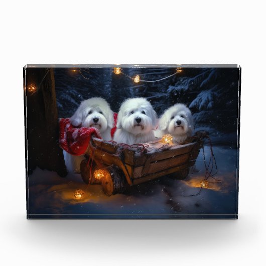 Katoen De Tulear Sneeuwslee Kerstdecoratie Fotoblokken (Voorkant)